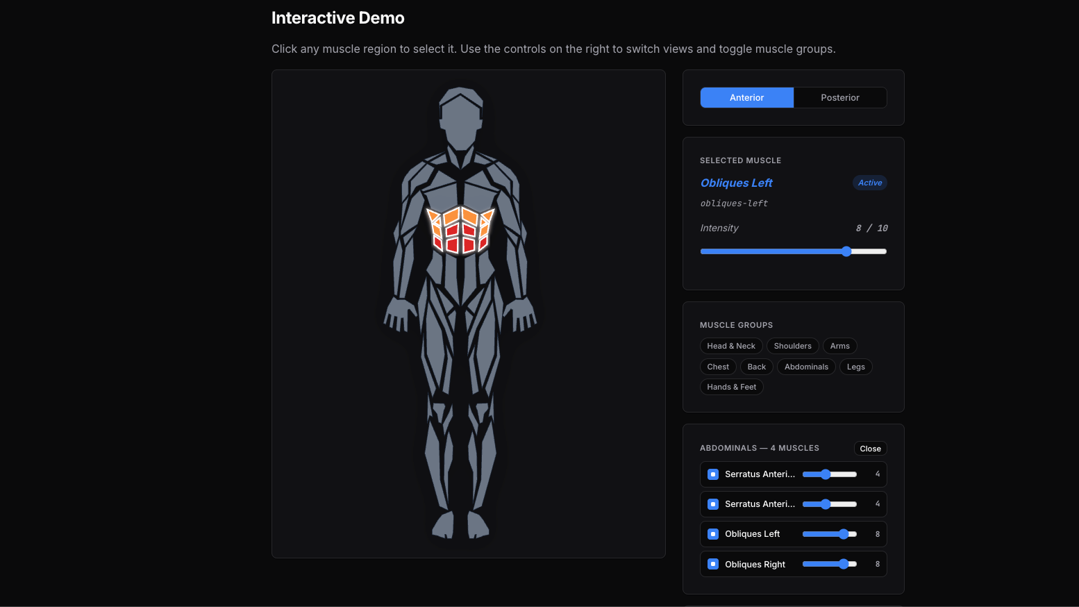 Body Muscles Demo Screenshot