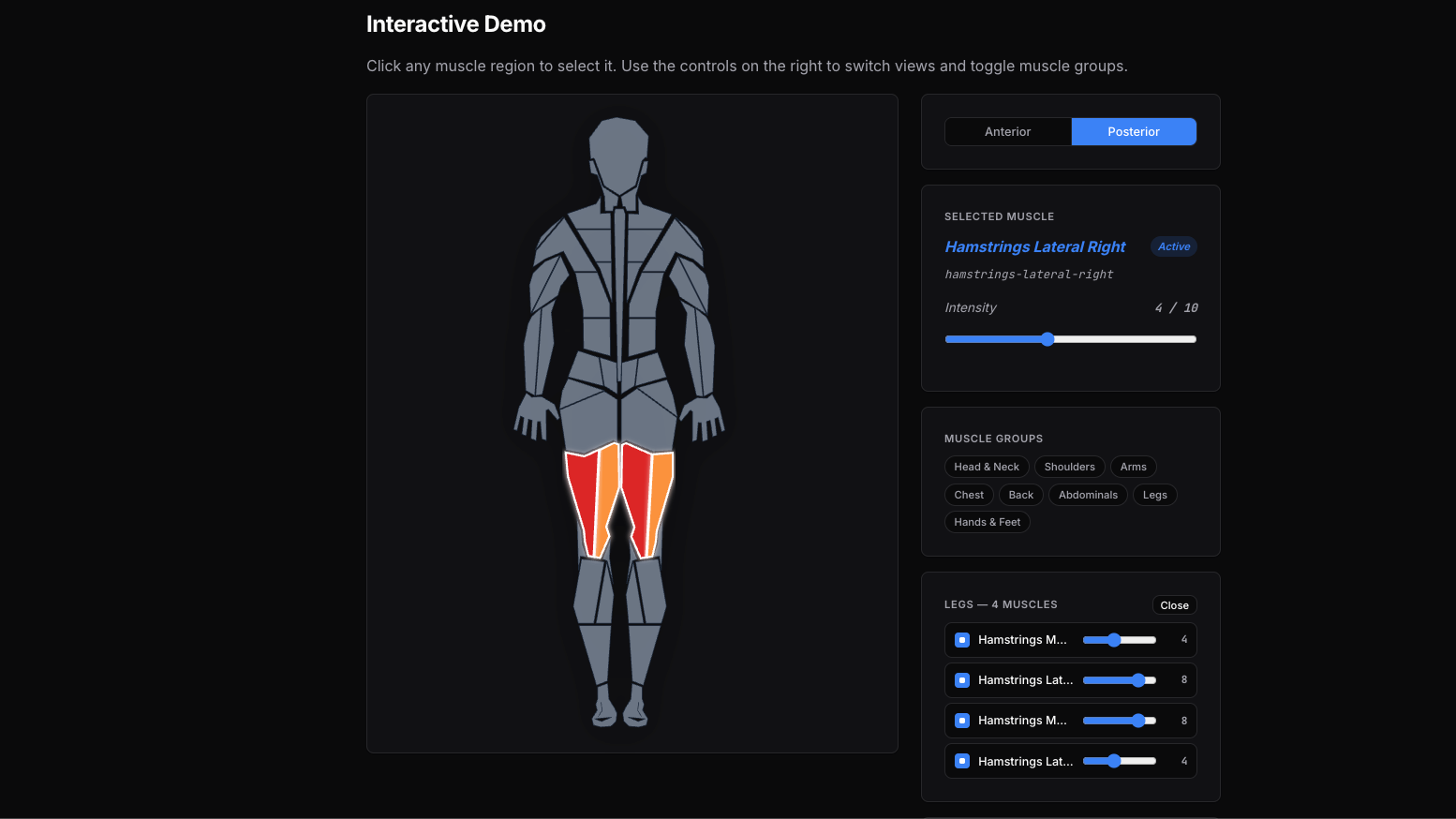 Body Muscles Demo Screenshot